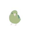 緑のマメルリハ（個別スタンプ：5）