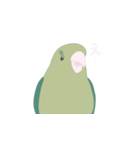 緑のマメルリハ（個別スタンプ：21）
