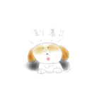 シーズーのララ春のお出かけ（個別スタンプ：29）