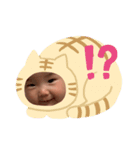 しいか（個別スタンプ：5）