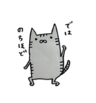 キジトラ・ハチワレにゃんこ（個別スタンプ：17）