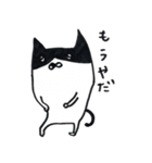キジトラ・ハチワレにゃんこ（個別スタンプ：20）