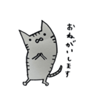 キジトラ・ハチワレにゃんこ（個別スタンプ：29）