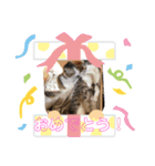 ゲネ＆チョコ＆ココア（個別スタンプ：1）