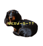ベティの1日（個別スタンプ：3）