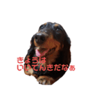 ベティの1日（個別スタンプ：6）