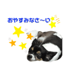 オレがふうたサマやー！Vol.3（個別スタンプ：1）