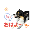 オレがふうたサマやー！Vol.3（個別スタンプ：2）