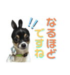 オレがふうたサマやー！Vol.3（個別スタンプ：6）