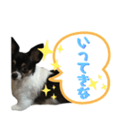 オレがふうたサマやー！Vol.3（個別スタンプ：7）