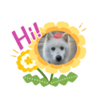 ぴっといんぴっと（個別スタンプ：5）