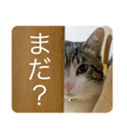 もずくstamp！（個別スタンプ：1）
