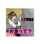 もずくstamp！（個別スタンプ：2）