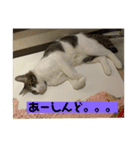 もずくstamp！（個別スタンプ：3）