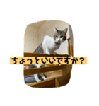 もずくstamp！（個別スタンプ：4）