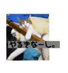 もずくstamp！（個別スタンプ：6）