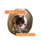 もずくstamp！（個別スタンプ：7）