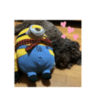 愛犬の日常！（個別スタンプ：2）