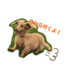 じゃっくのにちじょう（個別スタンプ：5）
