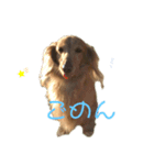 じゃっくのにちじょう（個別スタンプ：8）