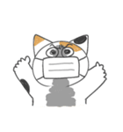 マスク猫のマオン（個別スタンプ：13）
