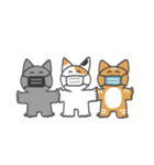 マスク猫のマオン（個別スタンプ：17）