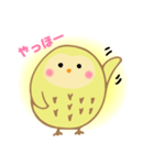 ひかるフクロウ きーちゃん（個別スタンプ：9）