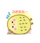 ひかるフクロウ きーちゃん（個別スタンプ：14）