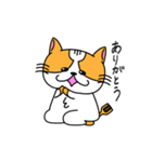 にゃんしゃら（個別スタンプ：5）