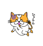 にゃんしゃら（個別スタンプ：18）