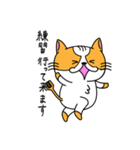 にゃんしゃら（個別スタンプ：21）