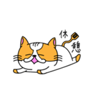 にゃんしゃら（個別スタンプ：27）