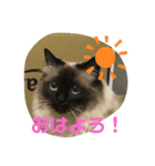 くうたん。（個別スタンプ：4）