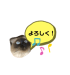 くうたん。（個別スタンプ：5）