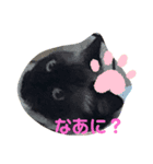 くうたん。（個別スタンプ：8）