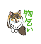 右大臣＆左大臣（個別スタンプ：28）