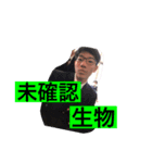 実用性◎！ヒライすたんぷ（個別スタンプ：8）