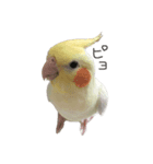ピヨくう（個別スタンプ：2）