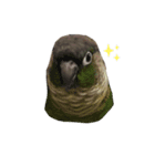 ピヨくう（個別スタンプ：6）