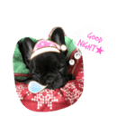 フレブルのんちゃん（個別スタンプ：2）