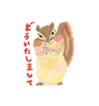 しまりす絵本（個別スタンプ：3）