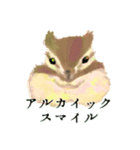 しまりす絵本（個別スタンプ：16）