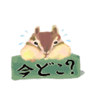 しまりす絵本（個別スタンプ：19）
