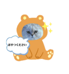 にゃんわん 日常（個別スタンプ：1）