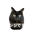 黒猫のいる暮らし（個別スタンプ：4）