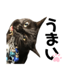 黒猫のいる暮らし（個別スタンプ：5）