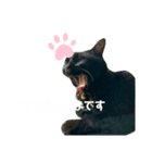 黒猫のいる暮らし（個別スタンプ：7）