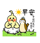 鳥のたまご-1初登場（個別スタンプ：1）