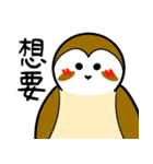 鳥のたまご-1初登場（個別スタンプ：13）