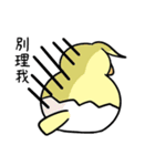 鳥のたまご-1初登場（個別スタンプ：30）